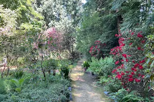 The Glades Woodland Garden image