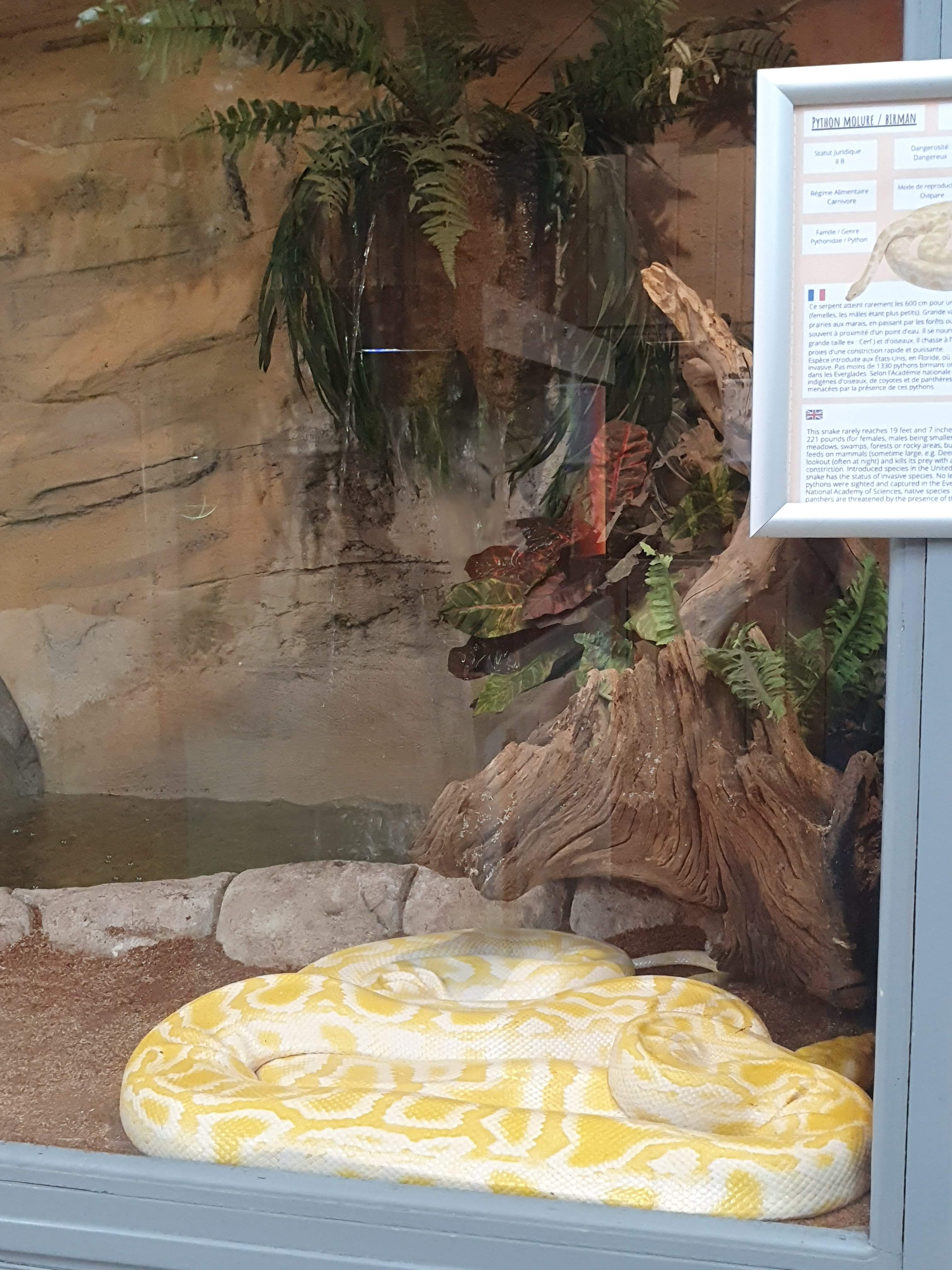 Photo n° 11 de l'avis de Alc. fait le 14/05/2022 à 10:09