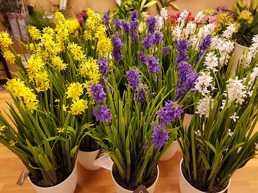 Floristería Osuna Granada - Envío de flores y rosas a domicilio - Coronas fúnebres