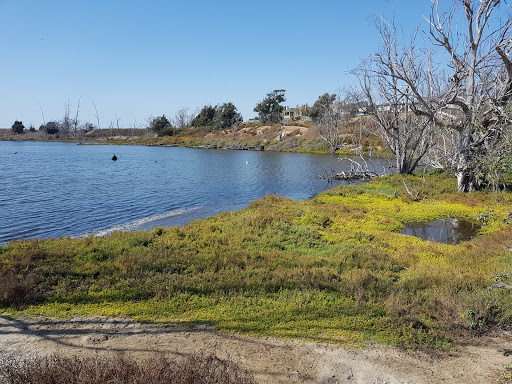 Bolsa Chica Ecological Reserve