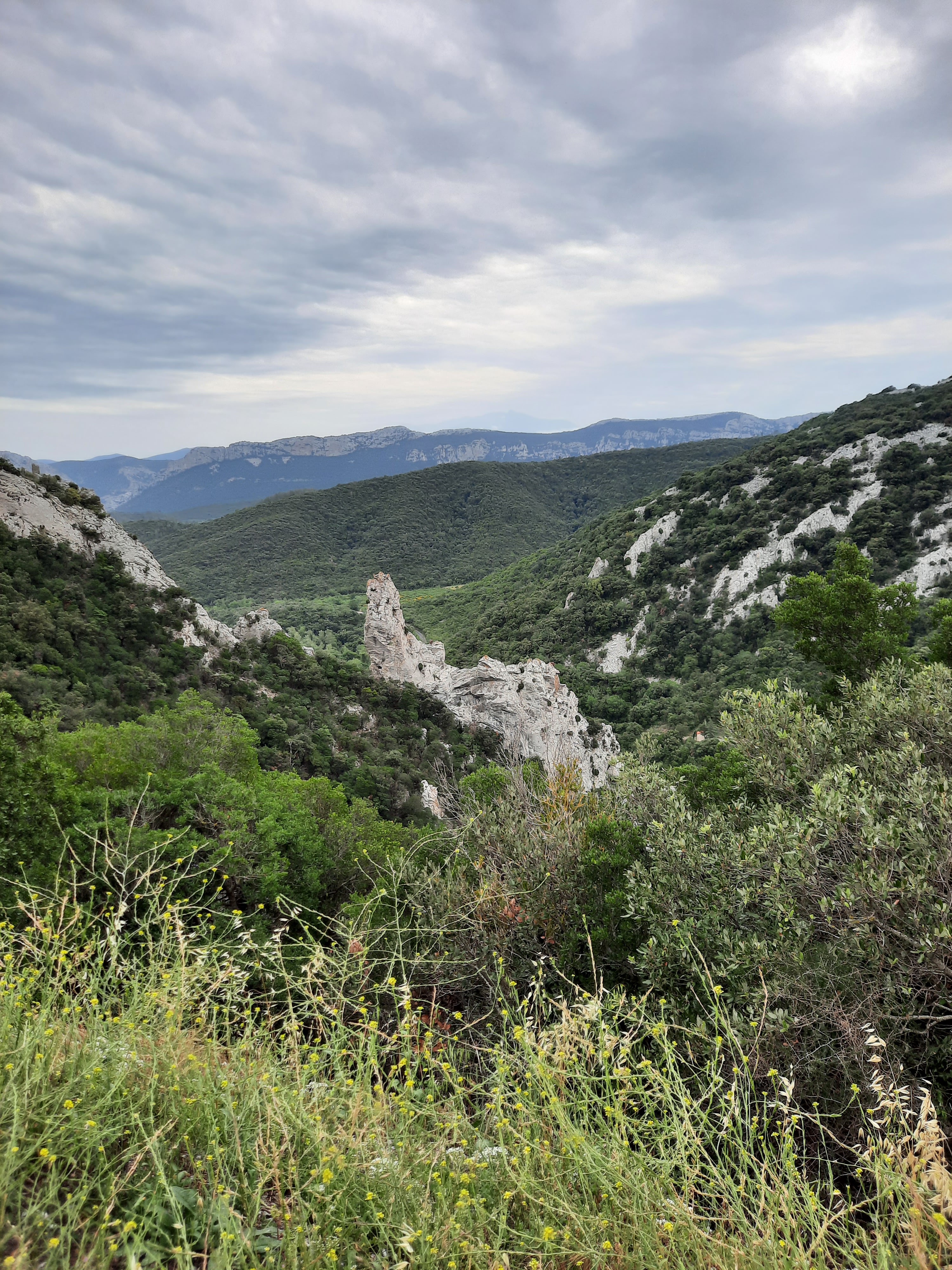 Photo n° 2 de l'avis de Daniel.e fait le 19/06/2023 à 18:57