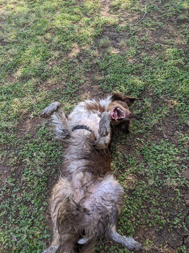 Park «Daley Park», reviews and photos, 1625 S College Ave, Tempe, AZ 85281, USA