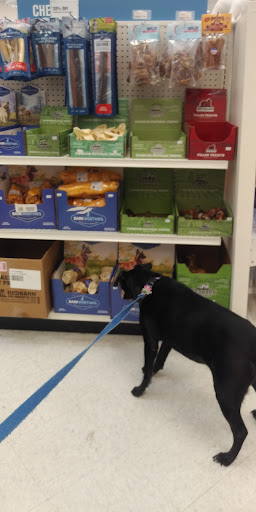 Pet Supply Store «Pet Life | Supplies, Services & Knowledge», reviews and photos, 93 Main St, Stoneham, MA 02180, USA