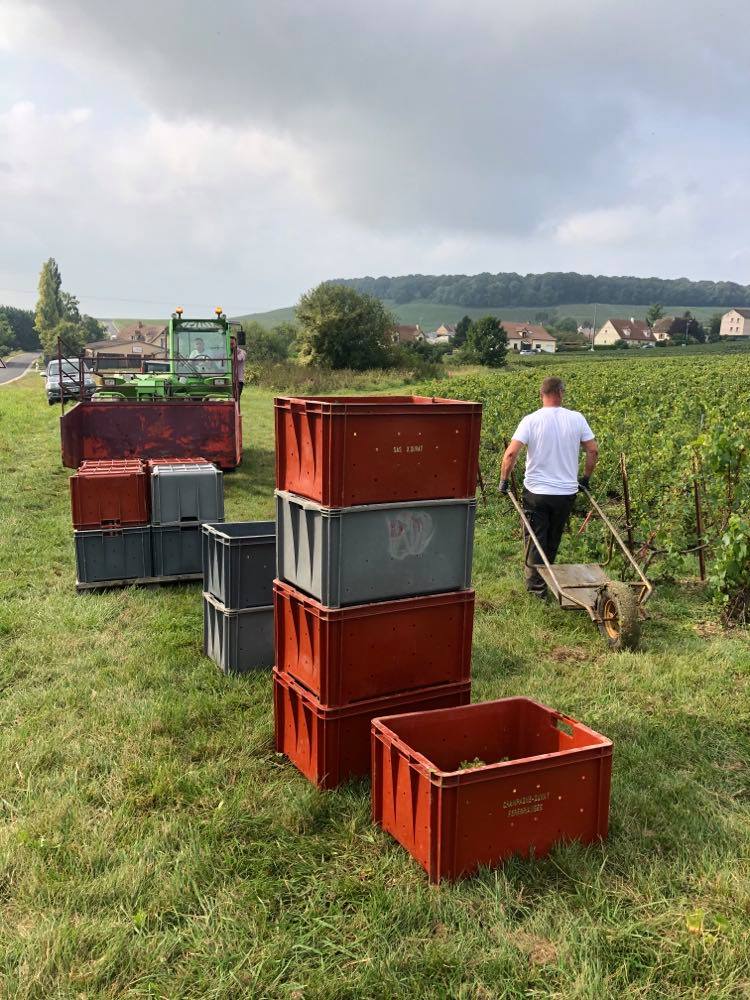 Photo n° 2 de l'avis de Pierre.C fait le 11/10/2021 à 11:01