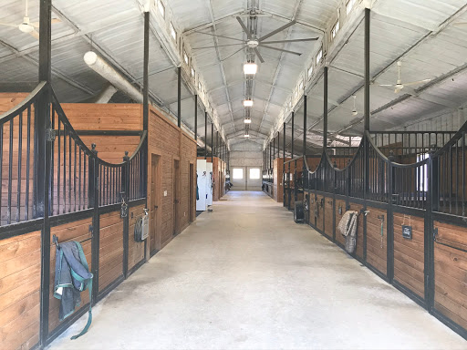 Horselife farm