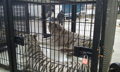 Event Venue «Dow Event Center», reviews and photos, 303 Johnson St, Saginaw, MI 48607, USA