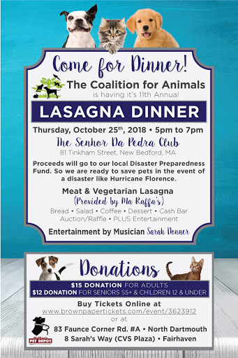 Pet Supply Store «Mellisa’s PET DEPOT», reviews and photos, 83 Faunce Corner Mall Rd, Dartmouth, MA 02747, USA