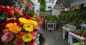 Best Typical Flower Shops In Buenos Aires Near You