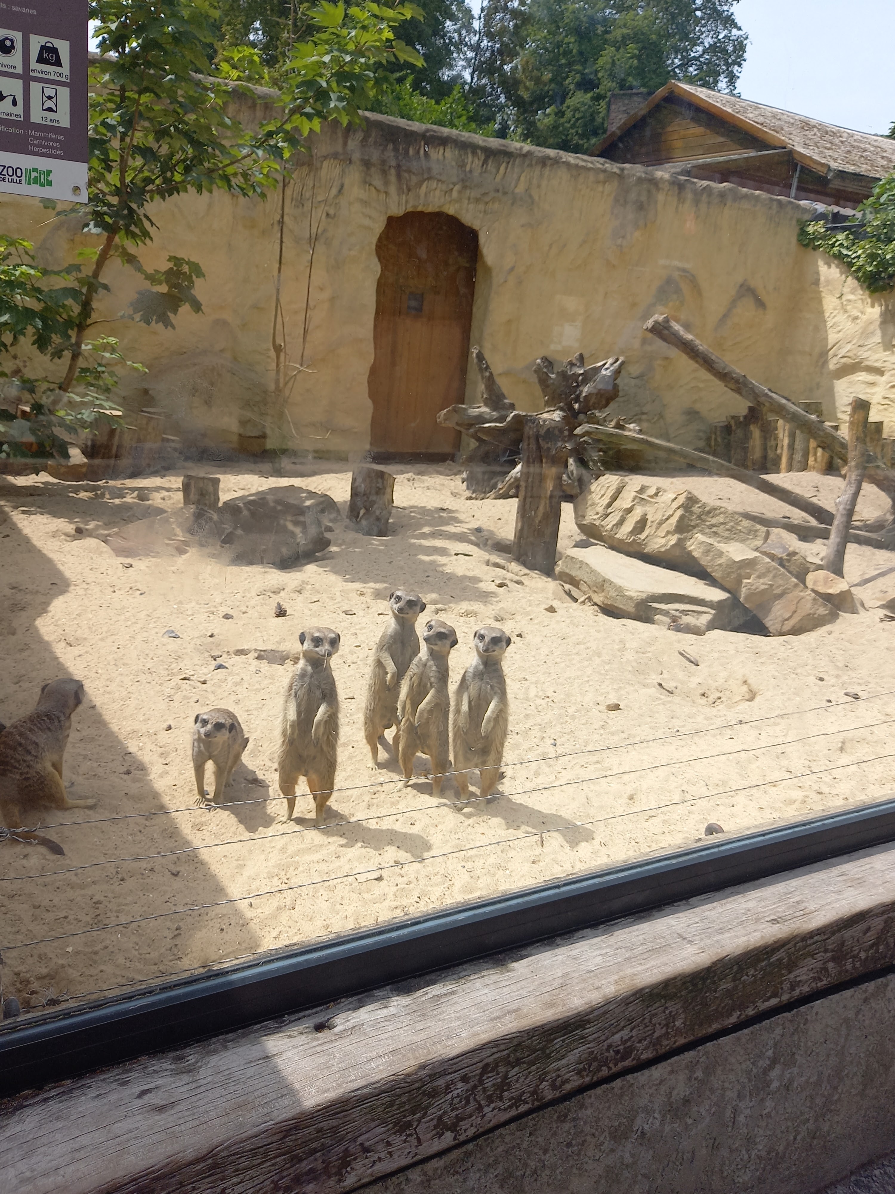 Photo n° 4 de l'avis de Metin.k fait le 18/06/2022 à 14:47