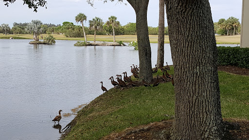 Public Golf Course «Vista Plantation Golf Club», reviews and photos, 48 Plantation Dr, Vero Beach, FL 32966, USA