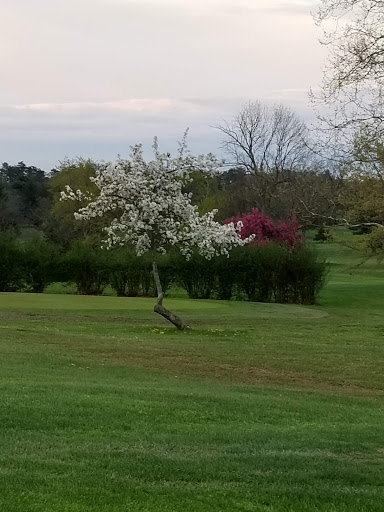 Golf Course «Loyal Oak Golf Course», reviews and photos, 2909 S Cleveland Massillon Rd, Norton, OH 44203, USA