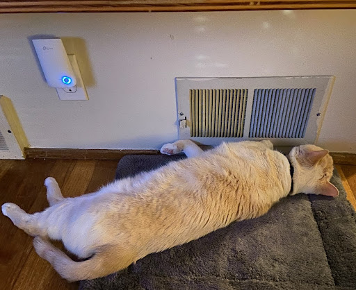 HVAC Contractor «Energy Stars Heating & Cooling CO», reviews and photos