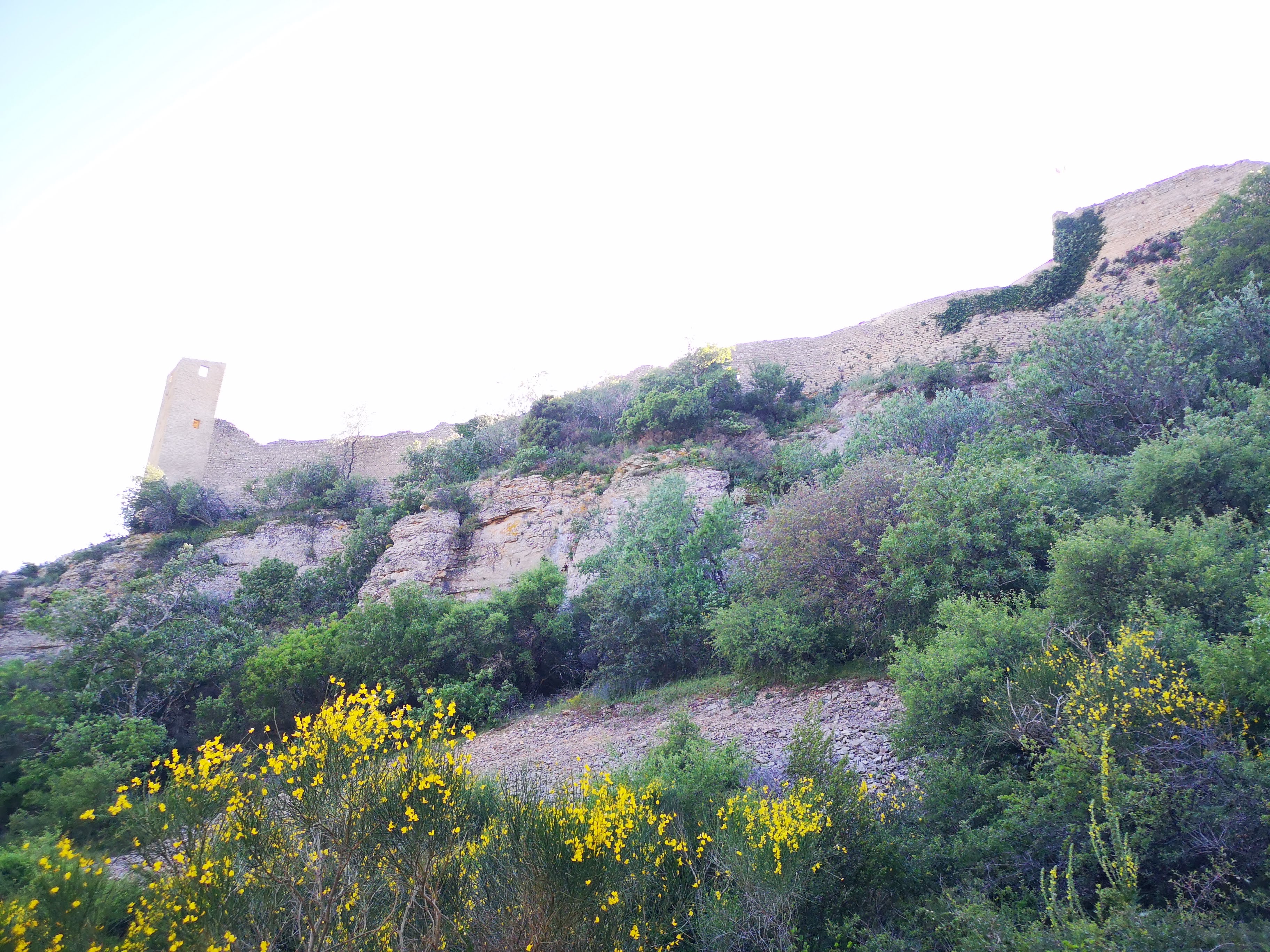 Photo n° 6 de l'avis de Chrisc.c fait le 14/05/2019 à 13:57