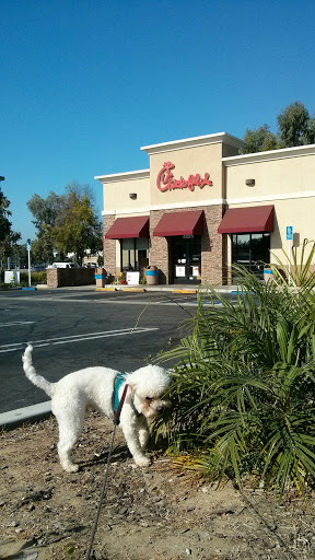 Fast Food Restaurant «Chick-fil-A», reviews and photos, 4895 Candlewood St, Lakewood, CA 90712, USA
