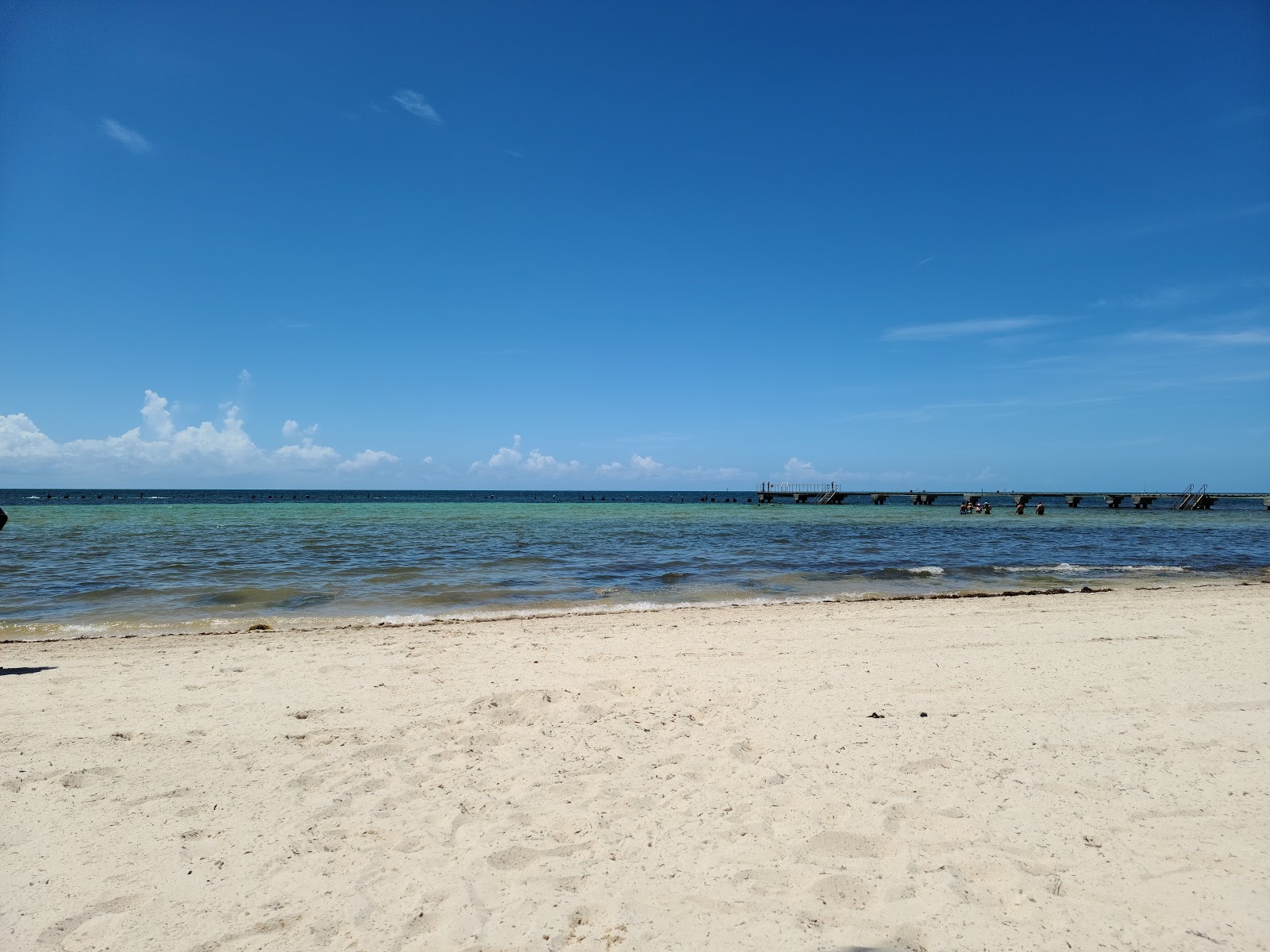 Foto av Higgs beach med lång rak strand