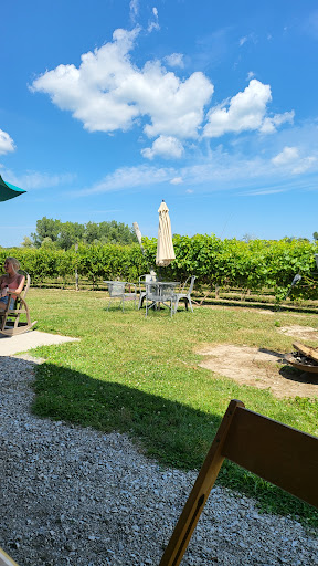 Vineyard «3 North Vines», reviews and photos, 5940 Peck Rd, Croswell, MI 48422, USA