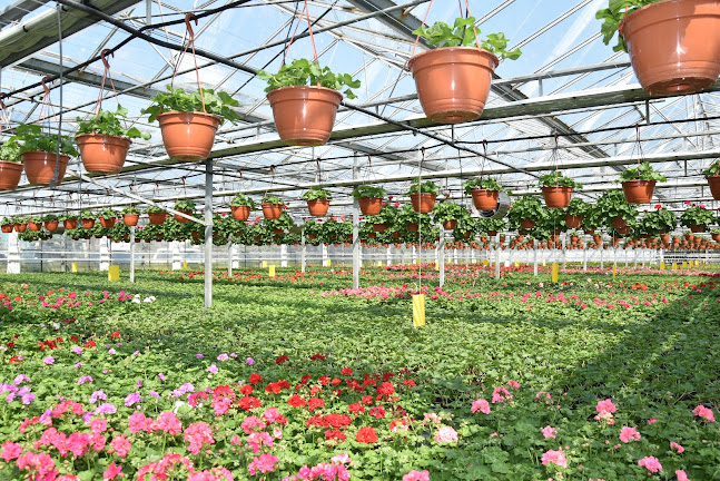 Centrum Ogrodnicze Opole - Bajek