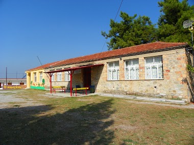 Δημοτικό Σχολείο Νέας Σινασού