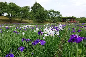 Kitakatashi Gotenba Park image