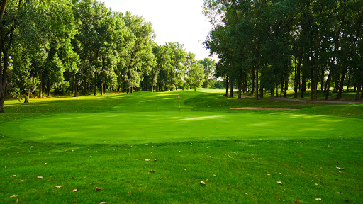 Golf Club «Taylor Meadows Golf Club», reviews and photos, 25360 Ecorse Rd, Taylor, MI 48180, USA