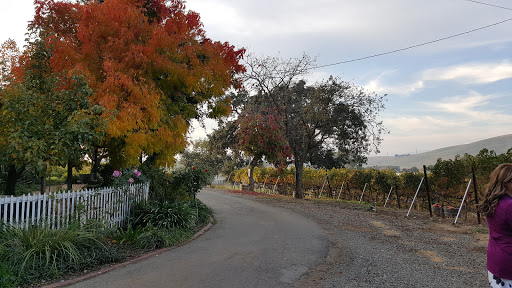 Winery «Boa Ventura De Caires Winery», reviews and photos, 9309 Tesla Rd, Livermore, CA 94550, USA