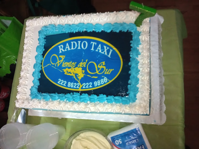 Opiniones de Soc Comercial de Radiotaxis y Servicios Yamana en Punta Arenas - Servicio de taxis