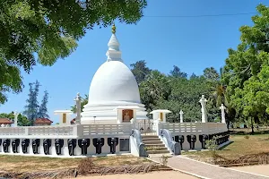 Dambakolapatuna Sangamiththa Temple image