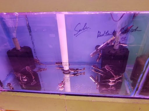 Pet Store «D D Fish & Pets», reviews and photos, 2413 S Fairview St, Santa Ana, CA 92704, USA