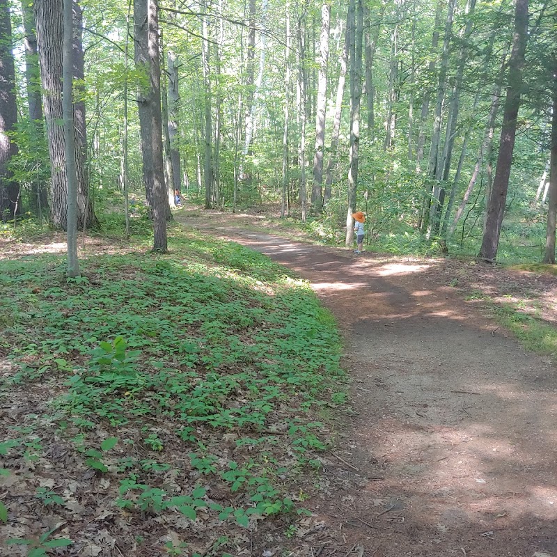 Gilbrook Nature Area