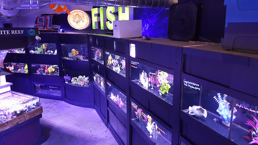 Tropical Fish Store «Elite Reef», reviews and photos, 8410 Wadsworth Blvd F, Arvada, CO 80003, USA