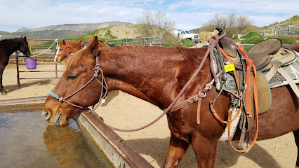 Arizona Horseback Adventures