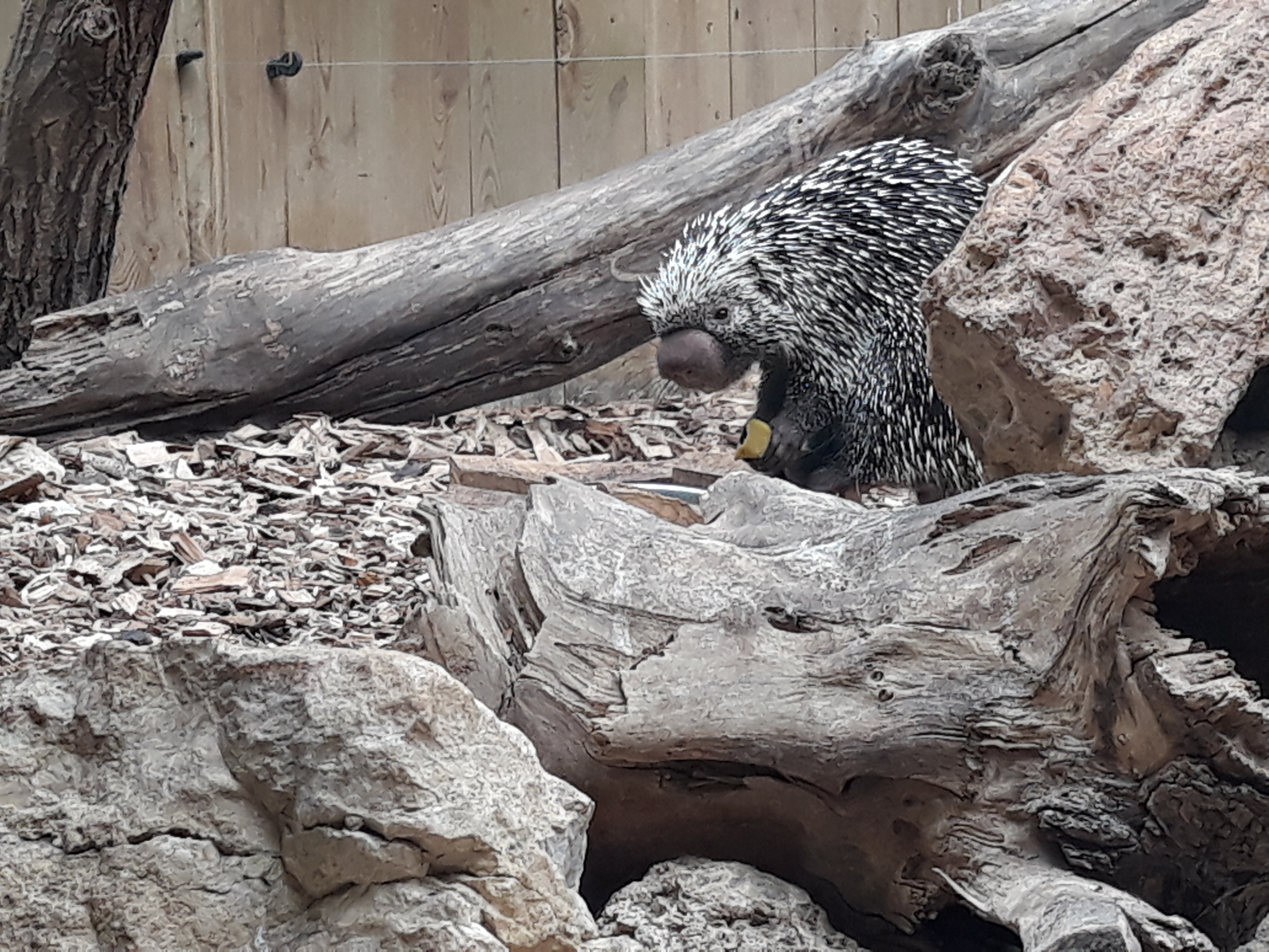 Photo n° 29 de l'avis de Estelle.o fait le 09/08/2018 à 10:25