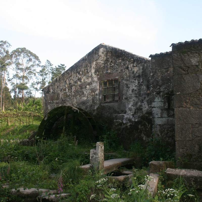 4 image