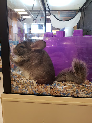Pet Supply Store «PetSmart», reviews and photos, 7663 Arundel Mills Blvd, Hanover, MD 21076, USA