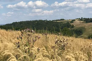 Bela Reka Farmland image