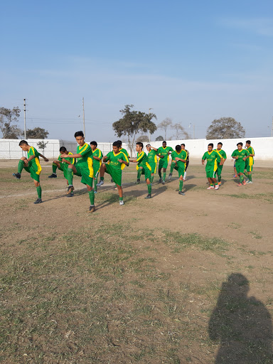 Campo de atletismo Chincha Alta