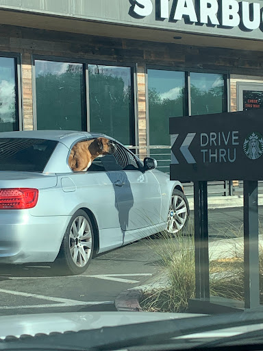 Starbucks image