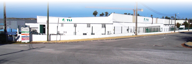 Avaliações doTLI - Transportes e Logística Internacionais, Lda em Mangualde - Serviço de transporte