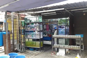 Aquarium Seberang Jaya image