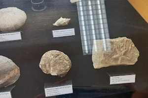 Museu de Geologia Valentí Masachs image