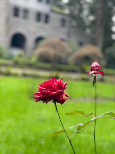 Place of Worship «The Grotto», reviews and photos, 8840 NE Skidmore St, Portland, OR 97220, USA