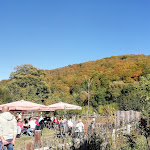 Photo n°1 de l'avis de Mira.e fait le 30/09/2018 à 15:31 sur le  Selketaler Waldgasthof à Harzgerode