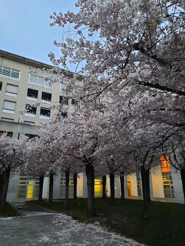 Rezensionen über Centro ATTE Associazione Ticinese Terza Età in Lugano - Kulturzentrum