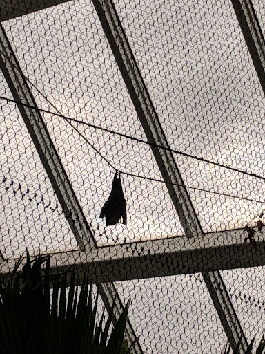 Zoo «Rainforest Pyramid», reviews and photos, 1 Hope Blvd, Galveston, TX 77554, USA