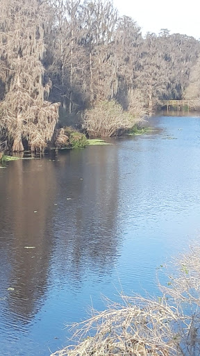 Park «Lettuce Lake Park», reviews and photos, 6920 E Fletcher Ave, Tampa, FL 33637, USA