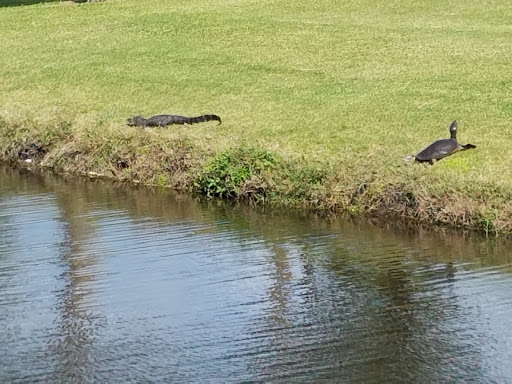 Golf Club «Turtle Creek Golf Club», reviews and photos, 1278 Admiralty Blvd, Rockledge, FL 32955, USA