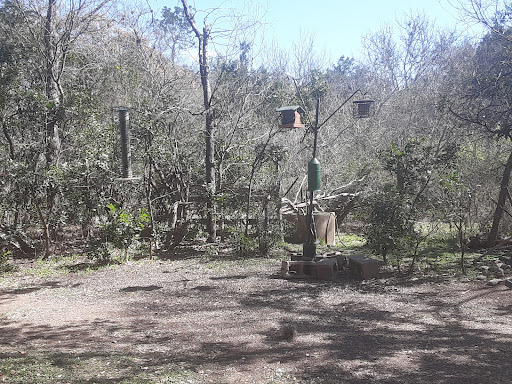 Nature Preserve «Warbler Woods», reviews and photos, 19349 Old Wiederstein Rd, Cibolo, TX 78108, USA