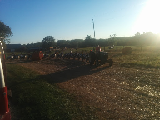 Festival «Temple Hall Fall Festival & Corn Maize», reviews and photos, 15855 Limestone School Rd, Leesburg, VA 20176, USA