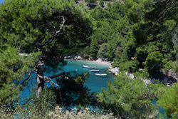 Foto von Draceva bay und seine wunderschöne Landschaft