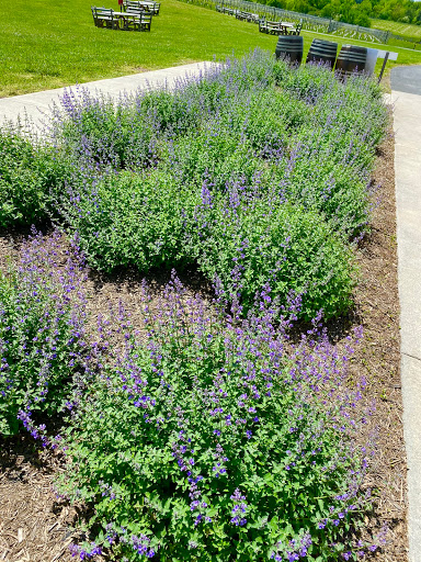 Winery «Greenhill Winery & Vineyards», reviews and photos, 23595 Winery Ln, Middleburg, VA 20117, USA